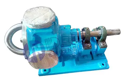 Eccentric rotor gear pump Manufacturer